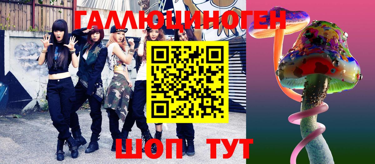 Галлюциногенные грибы Psilocybe Павлово