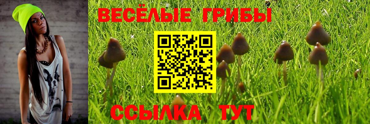 Галлюциногенные грибы Cubensis  Галлюциногенные грибы прущие грибы  Вход с VPN  Павлово 
