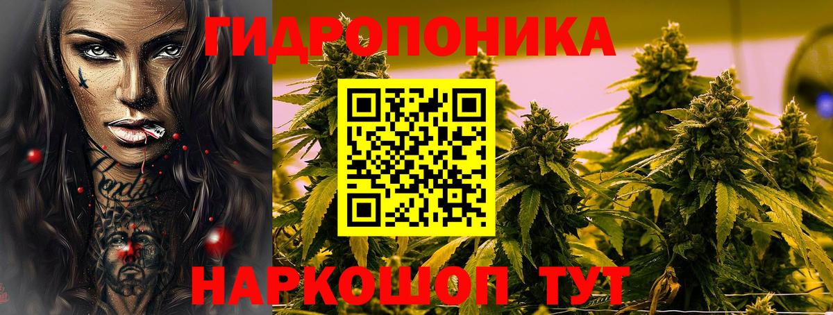 Канабис Ganja Павлово